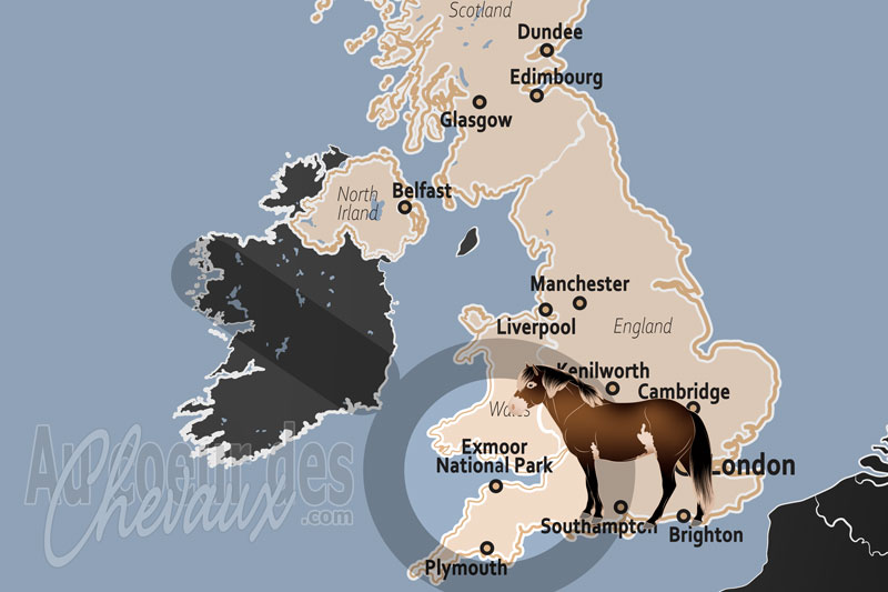 Le Parc National d'Exmoor, le sanctuaire de bronze o� galope l'�me de la pr�histoire