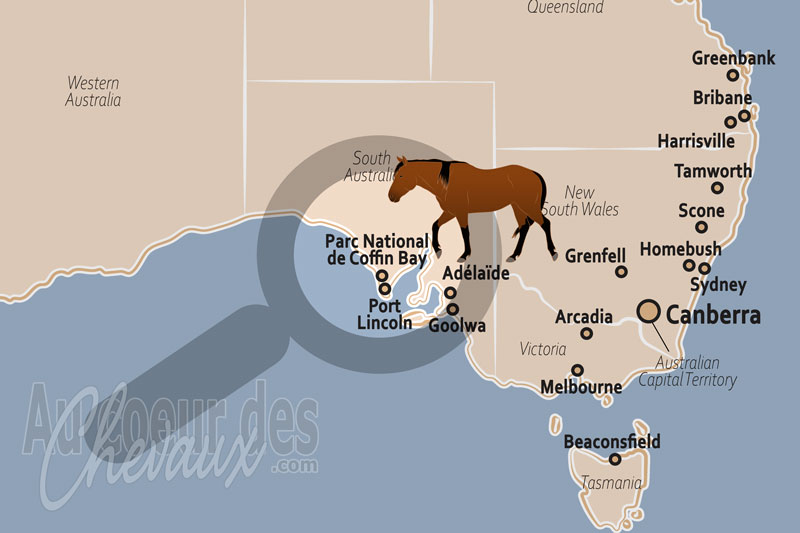 Le Parc National de Coffin Bay, le galop des poneys sauvages au bord de l'oc�an austral
