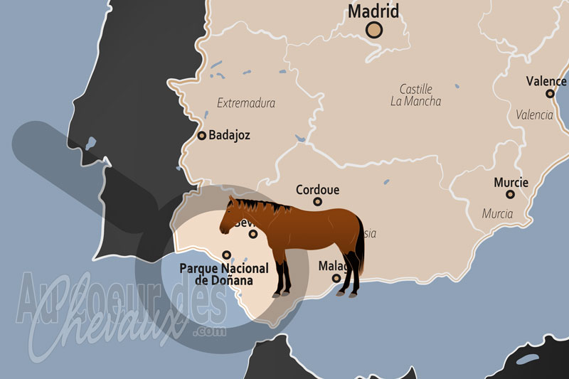 Le Parc National de Do�ana, le royaume sacr� o� galopent les derniers chevaux de l'�cume