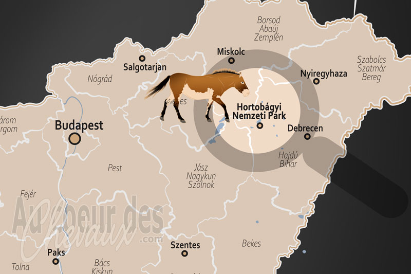 Le Parc National de Hortob�gy, le galop infini sur l'oc�an d'herbe de la puszta