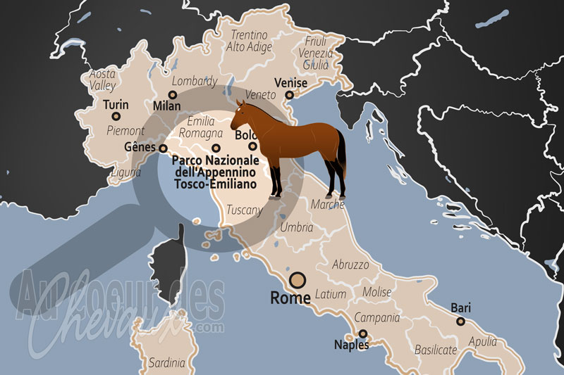 Le Parc National de l'Apennin Tosco �milien, le galop des cr�tes entre brumes et calcaire