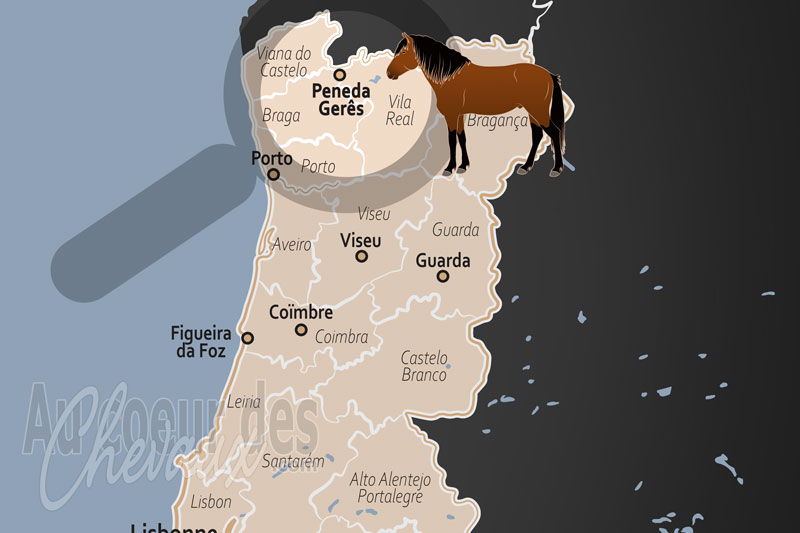 Le Parc National de Peneda Ger�s, le sanctuaire de granit o� galope le garrano sauvage