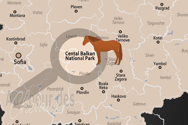 Le Parc National du Balkan Central, l'�pop�e des crins sauvages au c?ur des stara planina