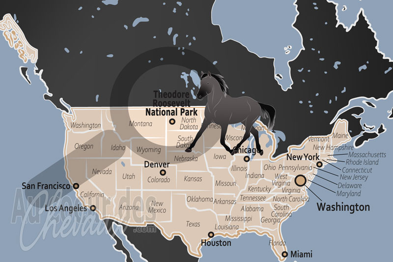 Le Parc National Theodore Roosevelt, le galop indomptable des mauvaises terres