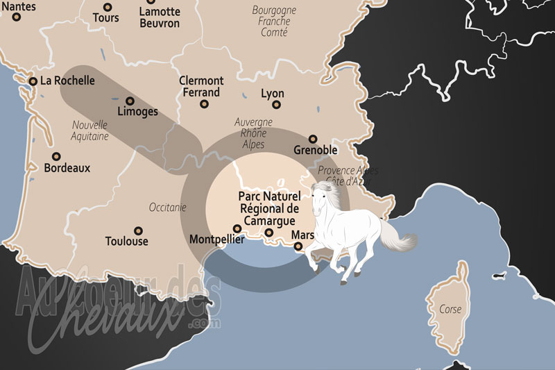 Le Parc Naturel R�gional de Camargue, le galop des crins blancs sur la terre de sel et d'azur