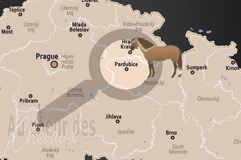 Pardubice, capitale europ�enne de l'obstacle et du patrimoine �questre