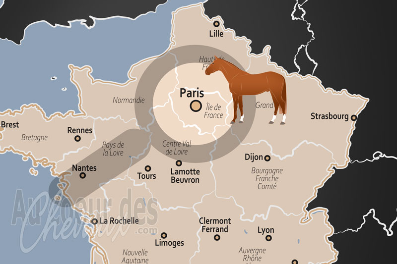 Paris, de la ville-moteur � la capitale du prestige �questre