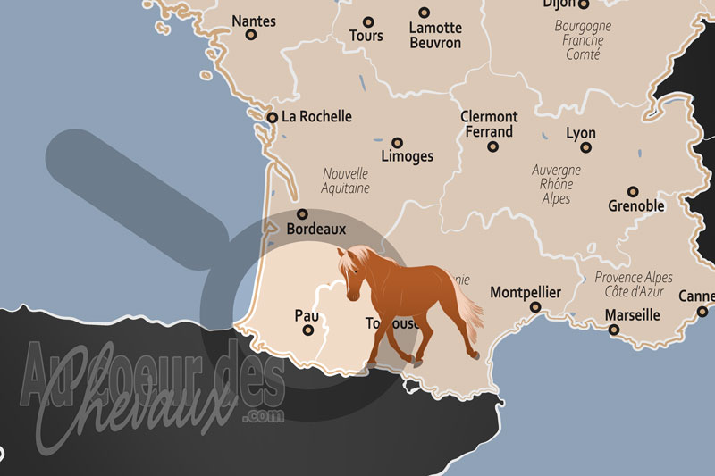 Pau, capitale mondiale du cheval et �picentre de l'excellence �questre