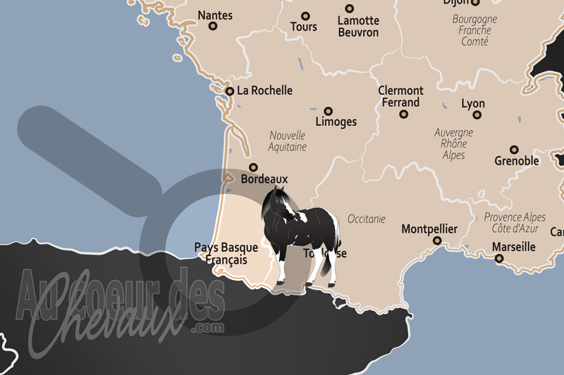 Le Pays Basque Fran�ais, entre mythe du pottok et excellence des fili�res sportives et pastorales