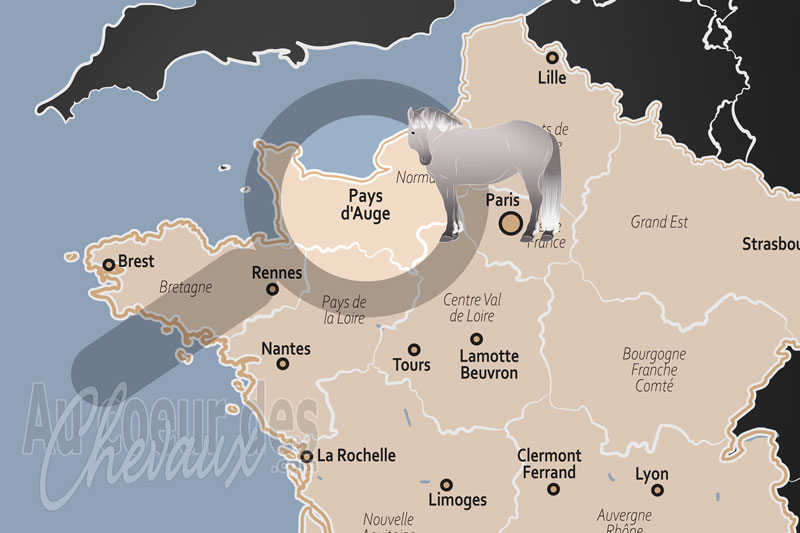 Le Pays d'Auge, �picentre mondial de l'excellence �quine