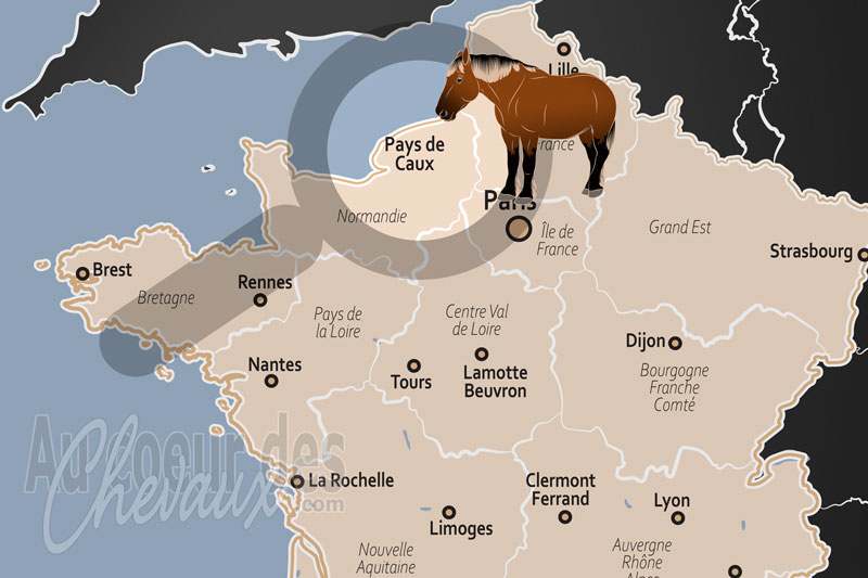 Le Pays de Caux, terre du trait cauchois et des clos-masures