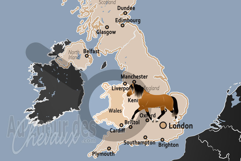 Le Pays de Galles, terre sacr�e des welsh ponies et cobs