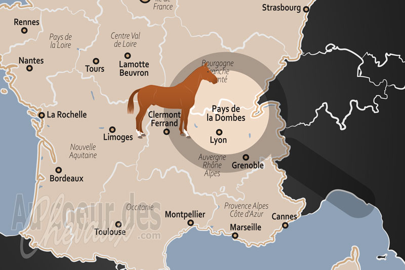 Le Pays de la Dombes, un �quilibre entre terroir aquatique et excellence sportive