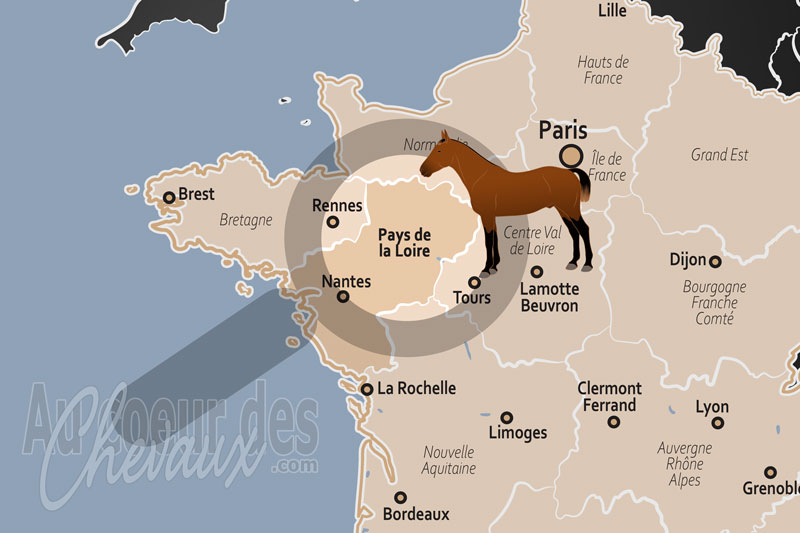Les Pays de la Loire, premier p�le �questre national entre tradition de saumur et excellence du galop
