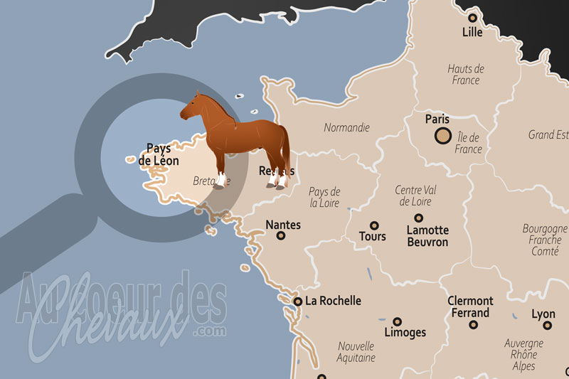 Le Pays de L�on, berceau du postier et capitale mondiale du cheval breton
