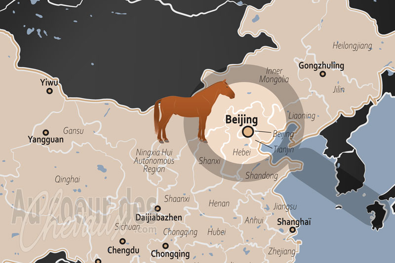 P�kin, le nouveau c?ur de la renaissance �questre chinoise