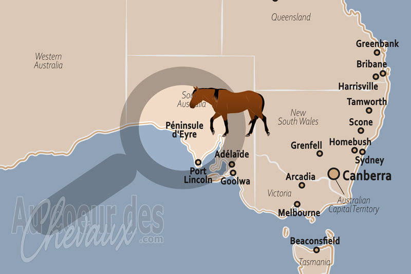 La localisation de la P�ninsule d'Eyre en Australie