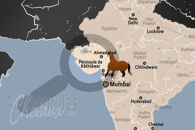 La localisation de la P�ninsule de K�thi�war en Inde