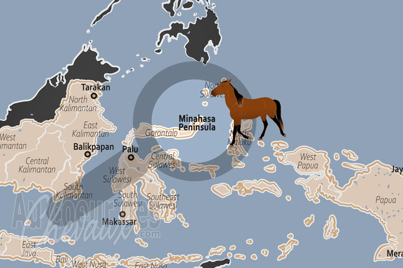 La localisation de la P�ninsule de Minahasa en Indon�sie