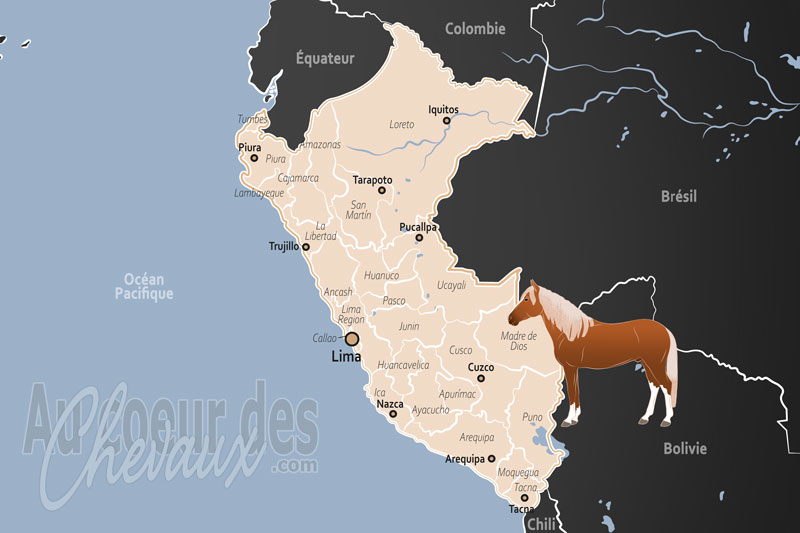 Le P�rou, excellence du � paso � et r�silience des andes