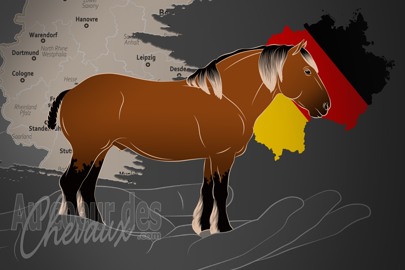 L'Association d'�levage de Chevaux de Rh�nanie Palatinat Sarre e.V., une organisation qui g�re le cheval des ardennes palatinat en allemagne