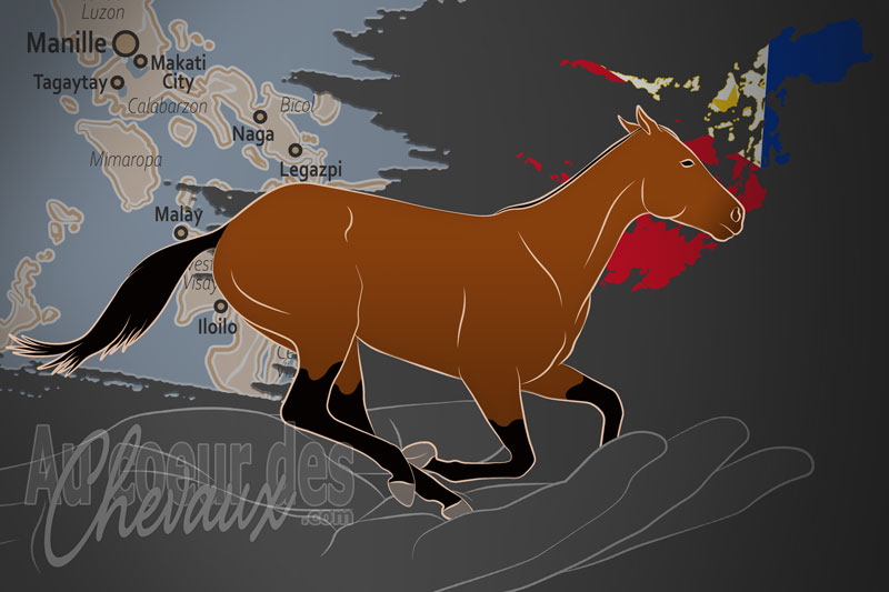 La Commission des Courses des Philippines, un organisme de gestion du cheval de course des philippines