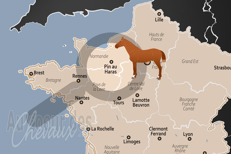 La localisation du Pin au Haras en France