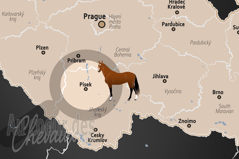 La localisation de P�sek en Tch�quie