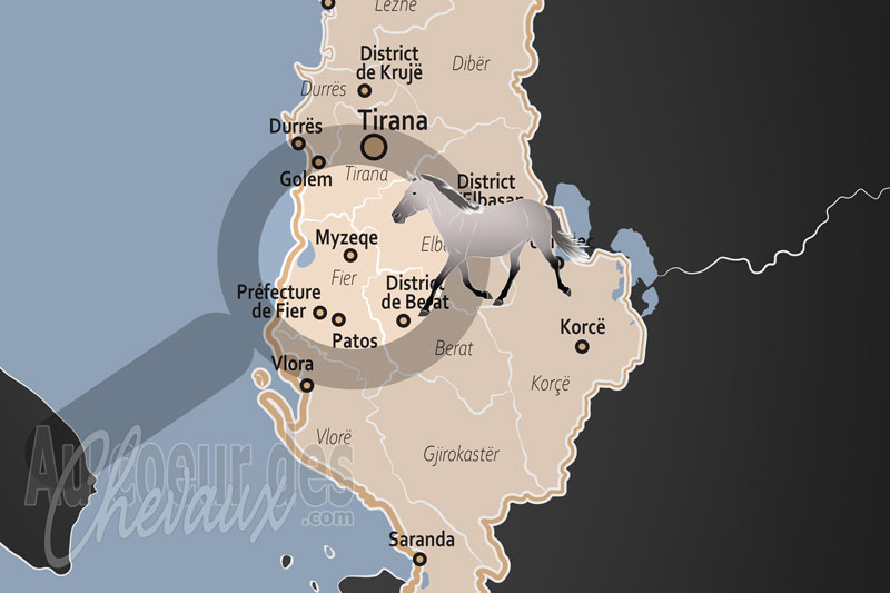 La localisation de la Plaine de Myzeqe en Albanie