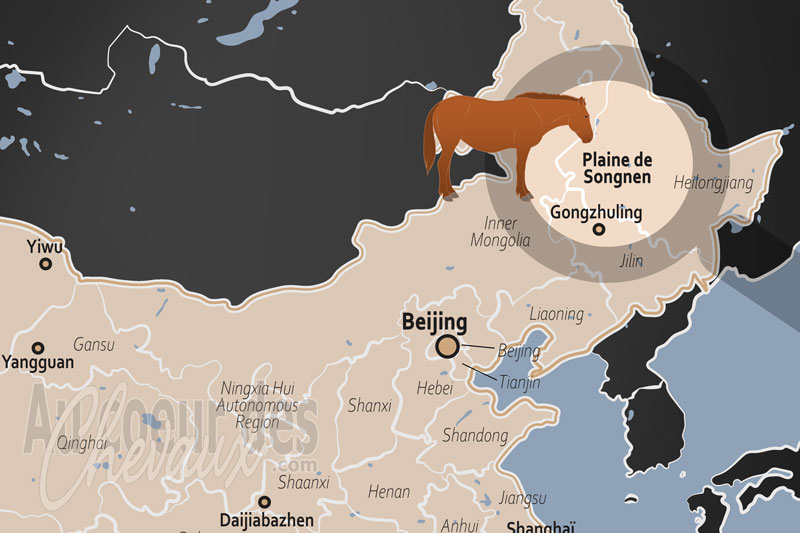 La localisation de la Plaine de Songnen en Chine