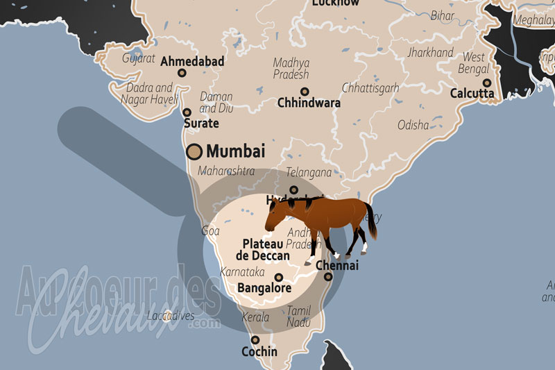 La localisation du Plateau de Deccan en Inde