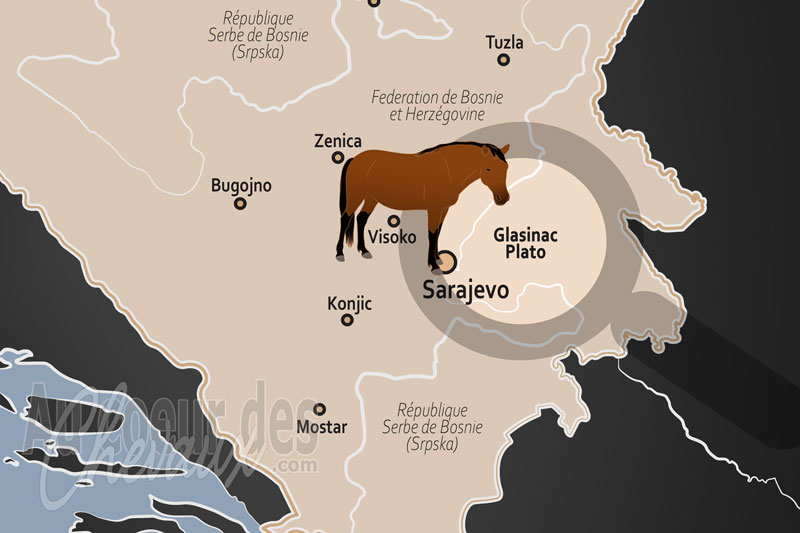 La localisation du Plateau de Glasinac dans le monde