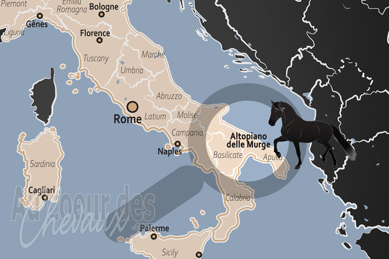La localisation du Plateau de Murge en Italie