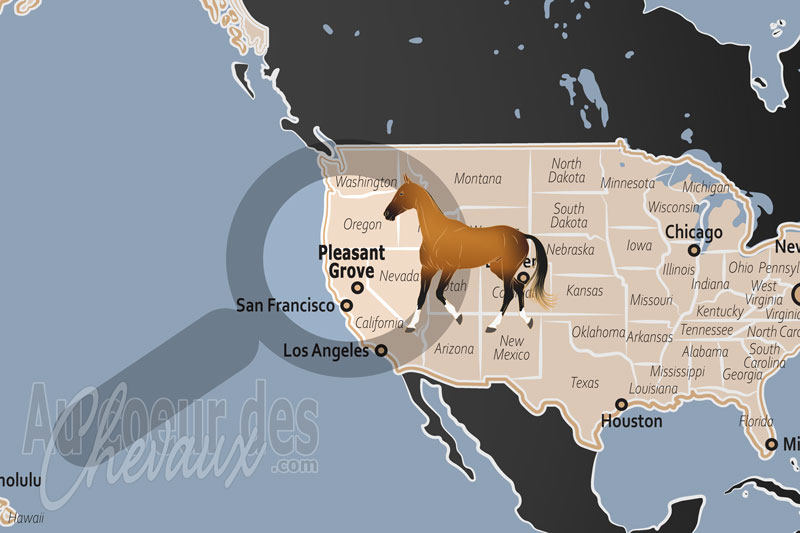 Pleasant Grove, un sanctuaire �questre au c?ur de la vall�e de sacramento