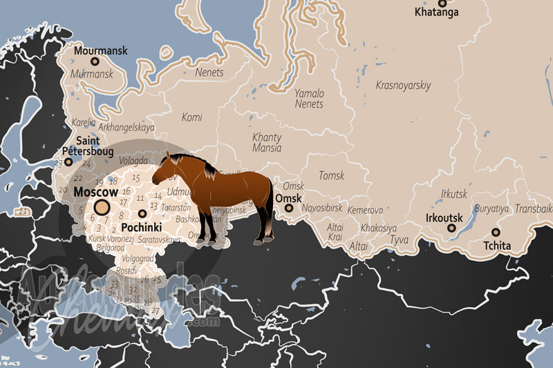 La localisation de Pochinki en Russie