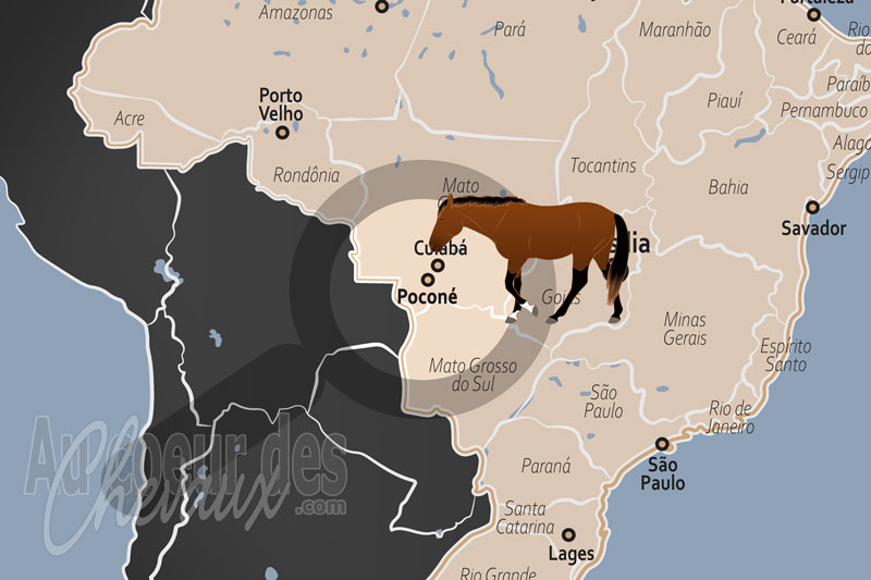 La localisation de Pocon� au Br�sil