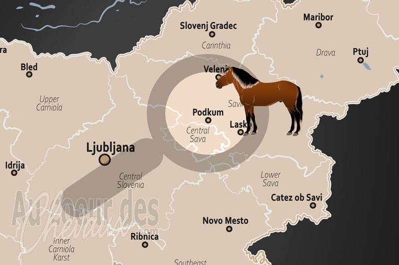 La localisation de Podkum en Slov�nie