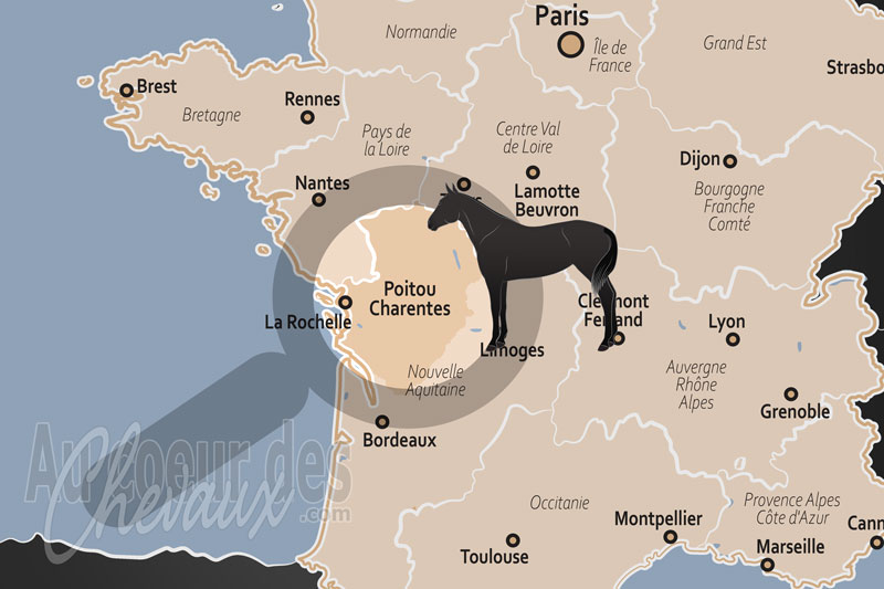 La localisation du Poitou Charentes en France