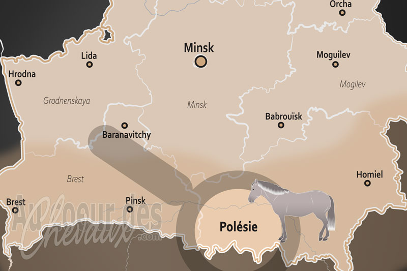 La Pol�sie, le galop des brumes au c?ur de l'amazonie europ�enne
