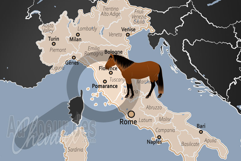 La localisation de Pomarance en Italie