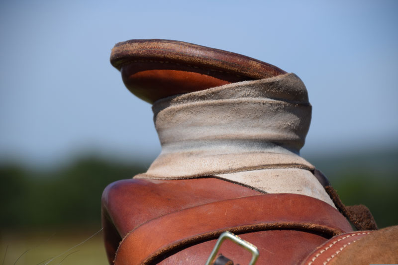 Le pommeau d'une selle western