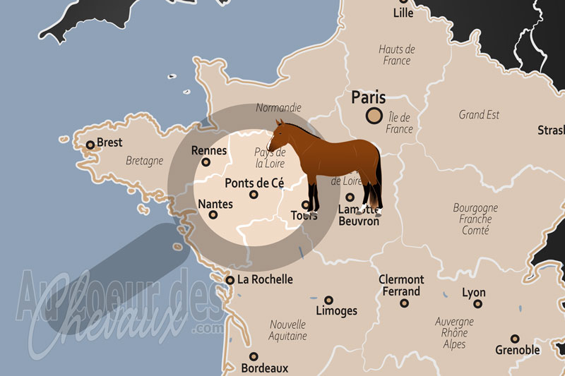 La localisation des Ponts de C� en France