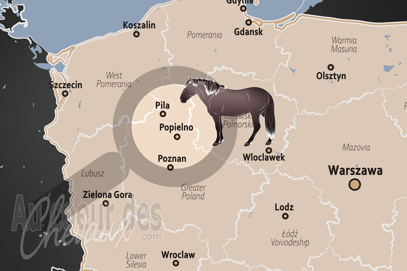 La localisation de Popielno en Pologne