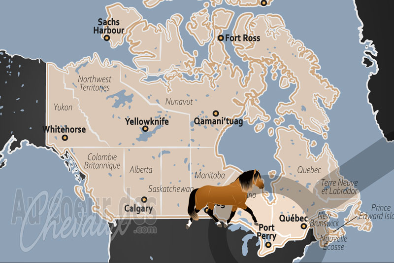 La localisation de Port Perry au Canada