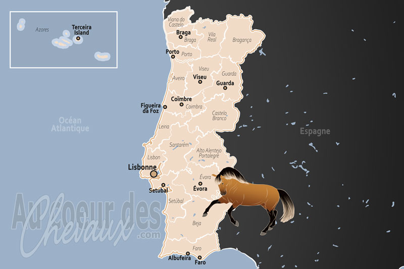 Le Portugal, entre tradition royale et excellence de l'art �questre
