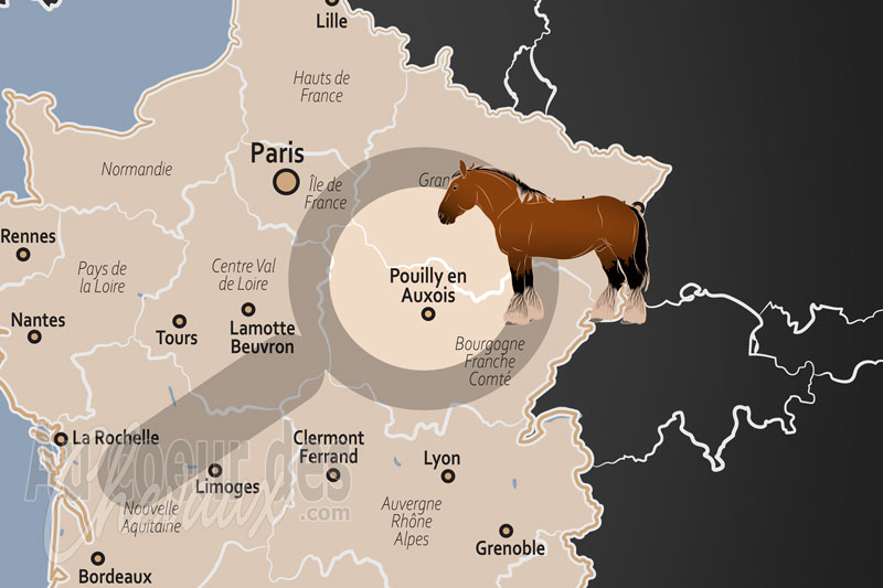 Pouilly en Auxois, berceau du trait auxois et carrefour de l'�quitation de plaine