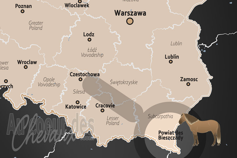 La localisation du Powiat des Bieszczady en Pologne