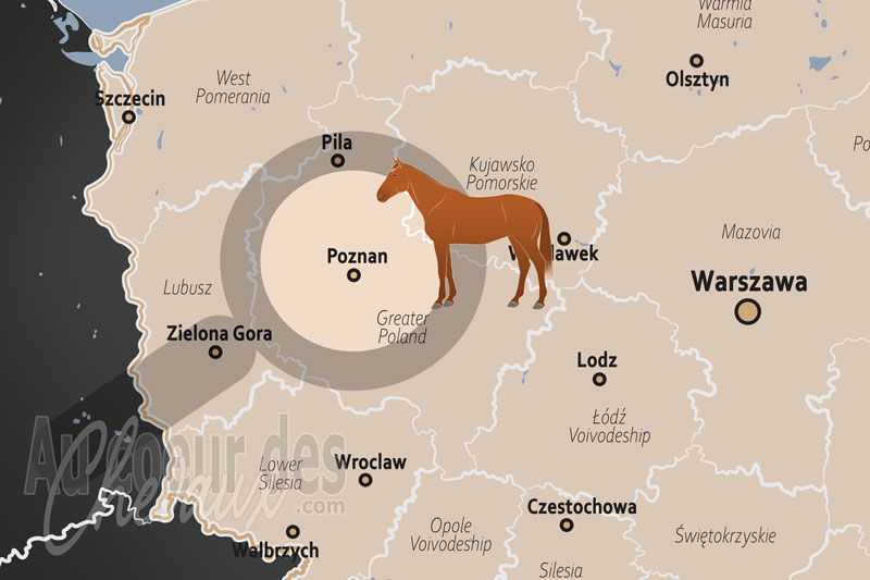 La localisation de Poznan en Pologne