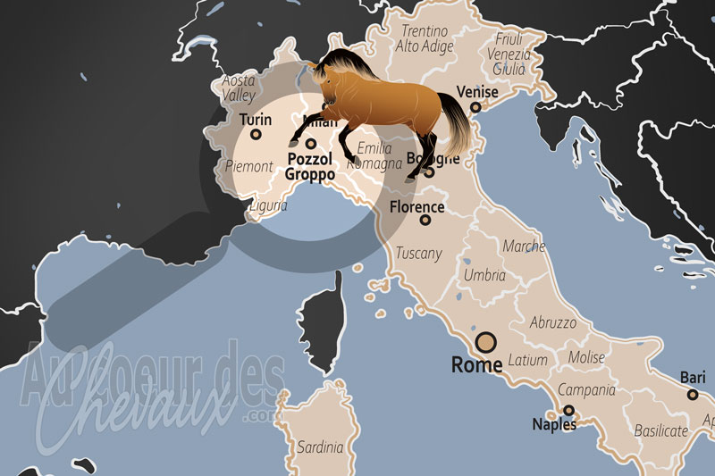 La localisation de Pozzol Groppo en Italie