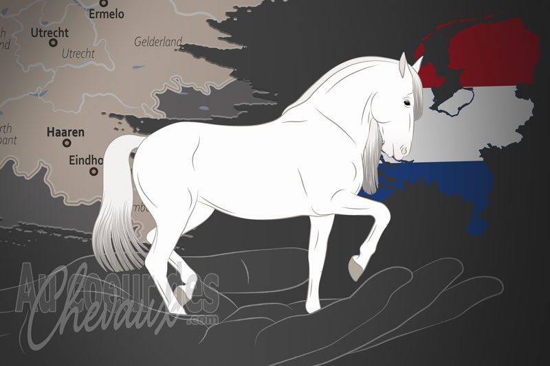 La Pre Stamboek Nederland un organisme de race aux Pays Bas